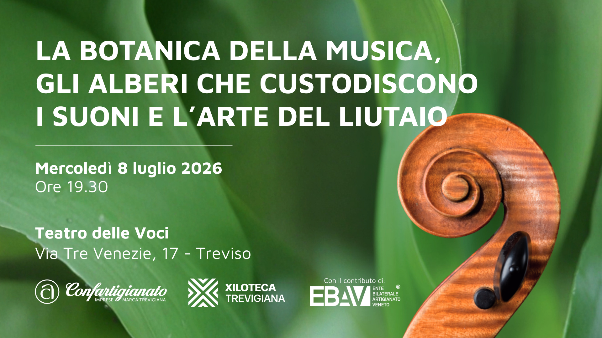SLIDE STABILITA' ALBERI (6)